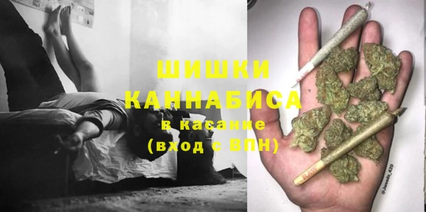 шишки Наволоки