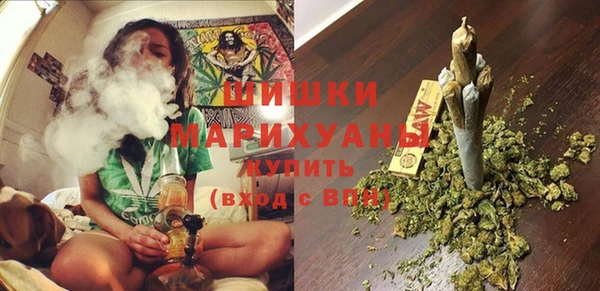 прущая мука Дмитриев