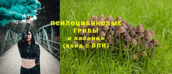 мдма Осинники
