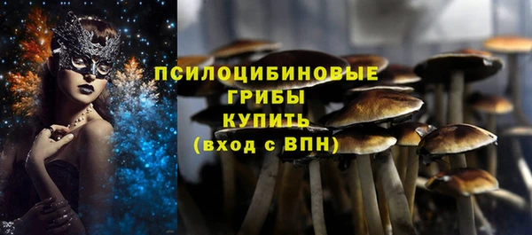 ECSTASY Дмитровск